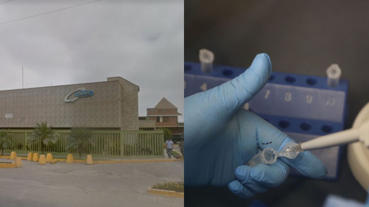 Un laboratorio peruano desiste de elaborar vacunas contra el coronavirus por cansancio