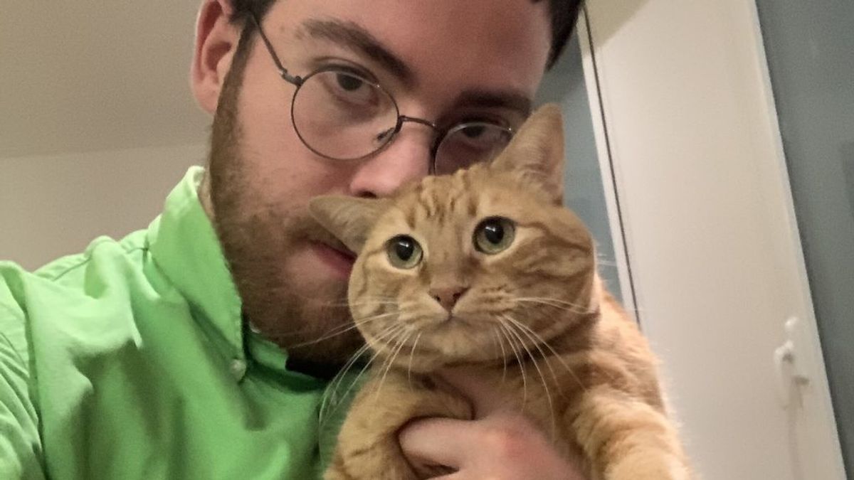 Así ha cambiado mi vida desde que vivo con una gata