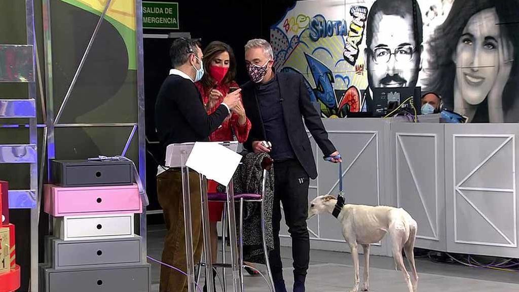 Nicoletta ya está en casa de Kiko Hernández: "Las enanas la han disfrazado"