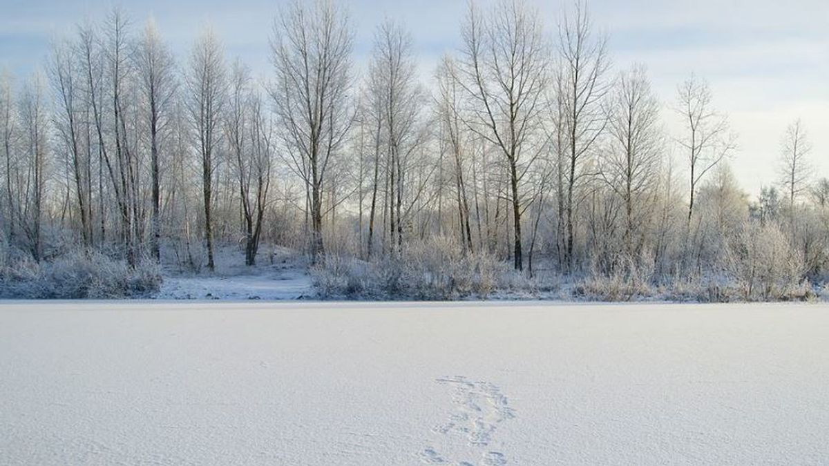 Incendios a -50ºC: el suelo arde en Siberia en uno de los inviernos más fríos que se recuerdan