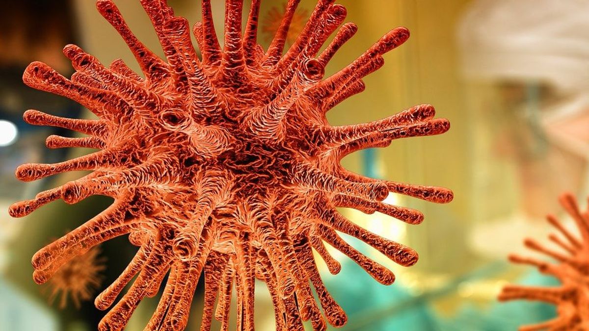 El CSIC colabora en la creación de un sistema para eliminar el SARS-CoV-2 del aire en interiores El CSIC colabora en la creación de un sistema para eliminar el SARS-CoV-2 del aire en interiores