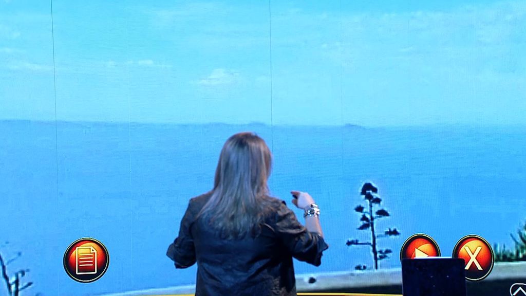 Las fotos de los espectadores