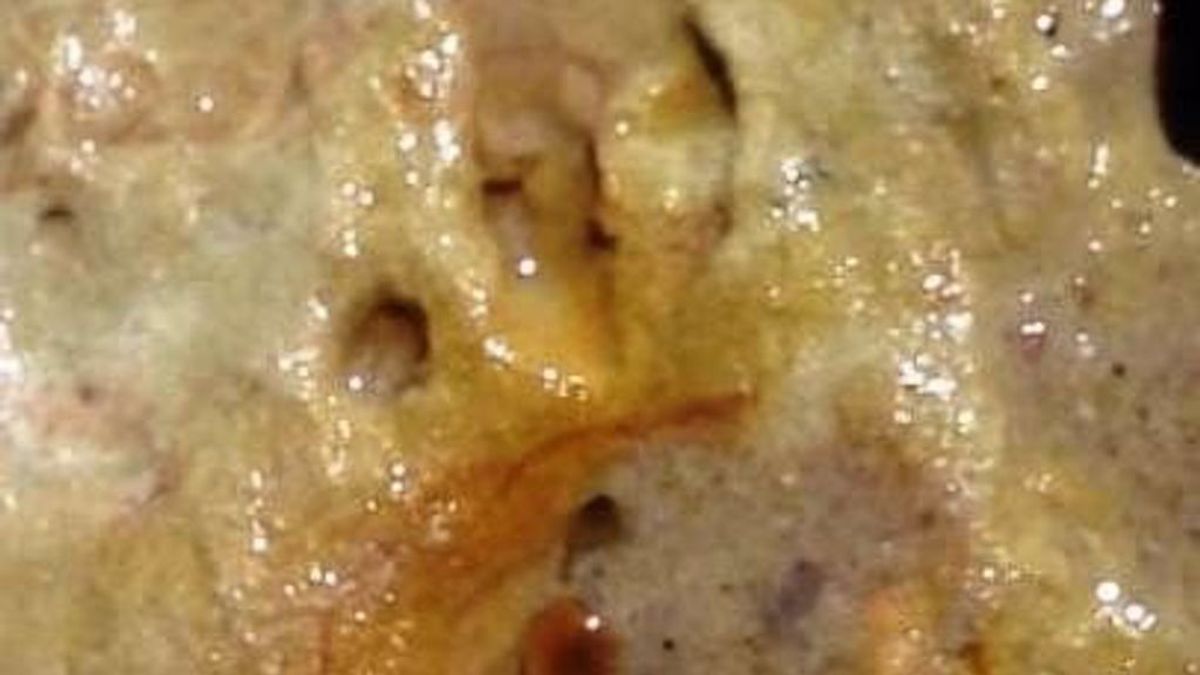 Identifican en la playa de Matalascañas las pisadas de neandertales más antiguas del mundo Identifican en la playa de Matalascañas las pisadas de neandertales más antiguas del mundo