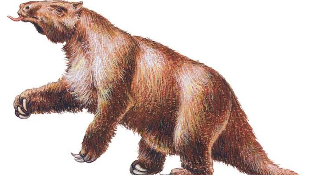 Megatherium