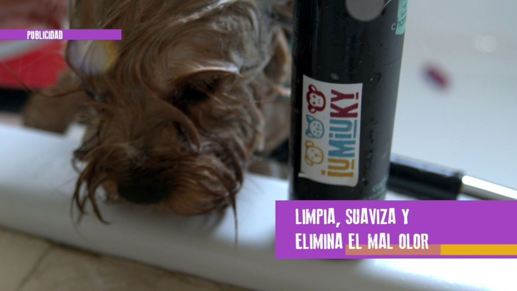 Productos IUMIUKY: champús para el cuidado de nuestras mascotas