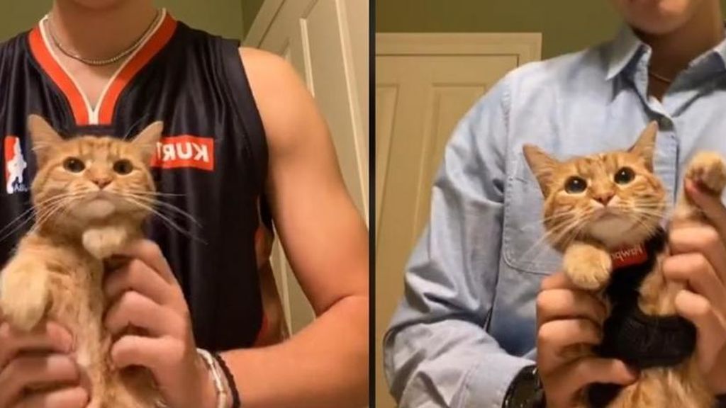 Kurt, el gato marioneta, sabe lo que se hace. Sus bailes son una fantasía y están arrasando en TikTok