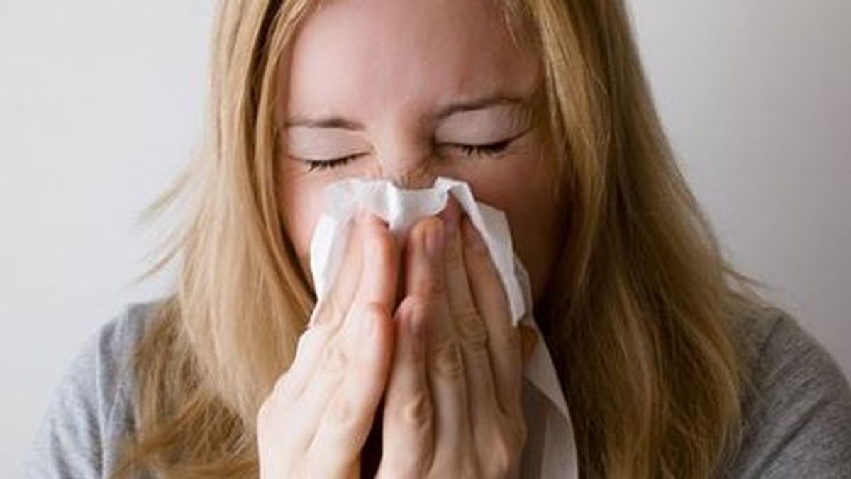 ¿Eres alérgico a la arizónica o el ciprés? Estas son las zonas donde los niveles de polen están por los aires