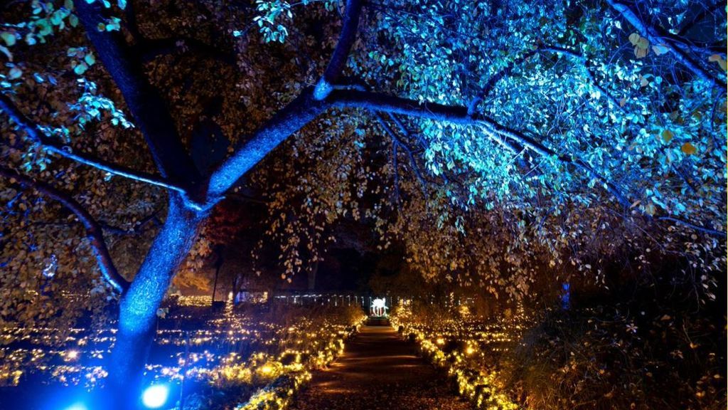 210204 cul botanico 2
