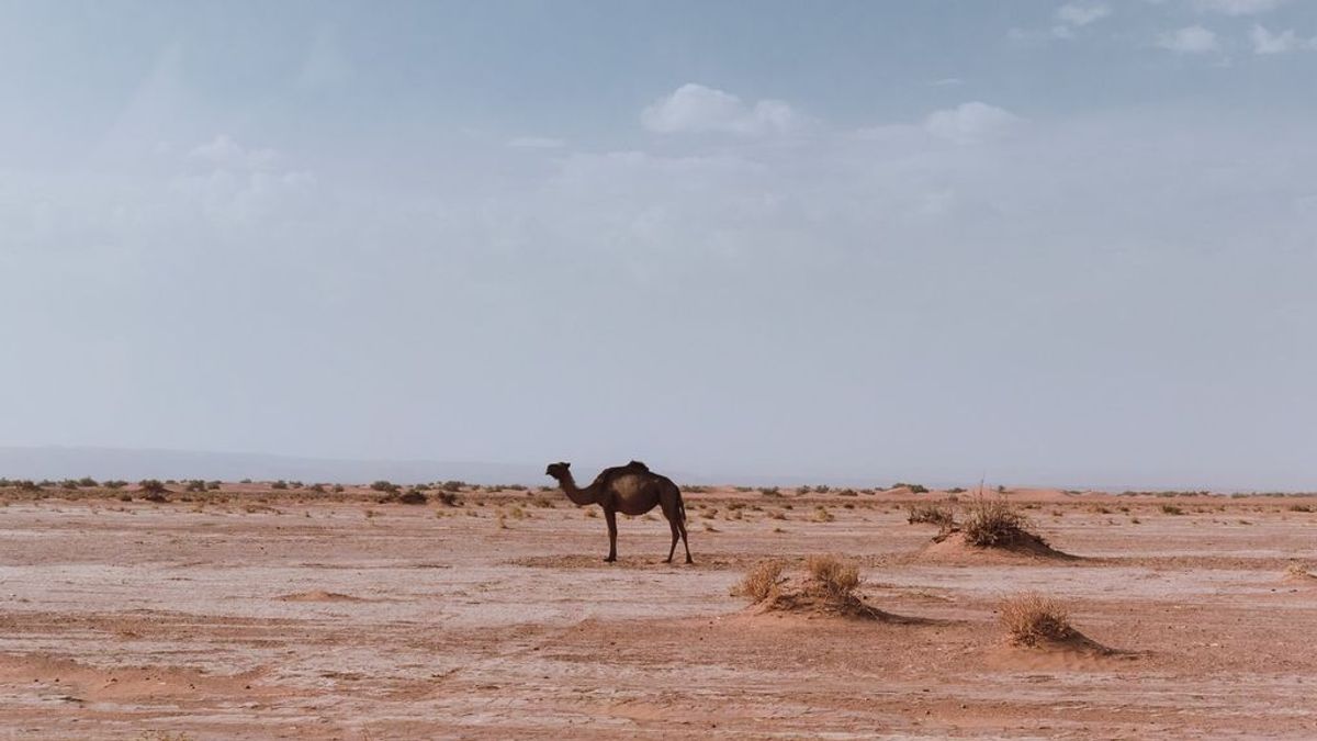 ¿Qué factores hicieron fértil en el pasado lo que hoy es el desierto de Sáhara?
