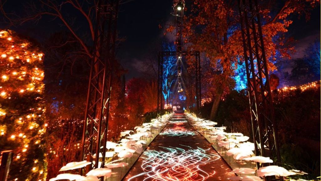 Una instalación de luz en el Botánico de Madrid rinde home a la vegetación dañada por Filomena Una instalación de luz en el Botánico de Madrid rinde home a la vegetación dañada por Filomena