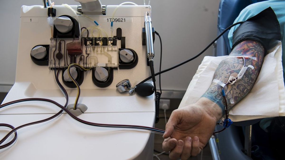 Científicos británicos advierten: el tratamiento de covid con plasma convaleciente puede producir mutaciones del virus Científicos británicos advierten: el tratamiento de covid con plasma convaleciente puede producir mutaciones del virus