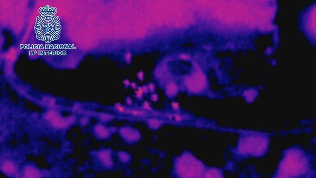 Localizan con un dron con cámara térmica un botellón con 100 personas en Alicante