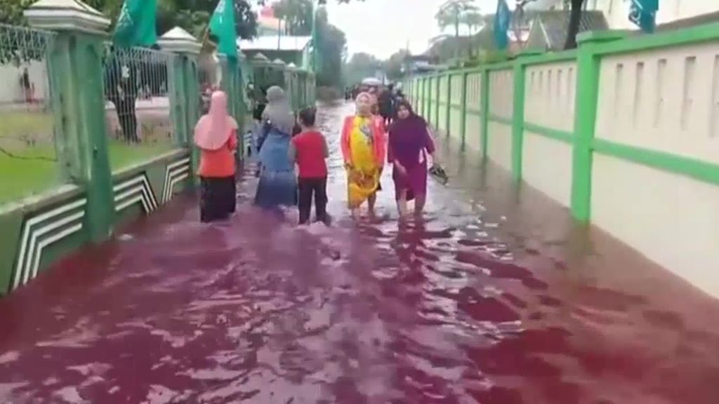 Imágenes apocalípticas de las inundaciones rojas en Indonesia