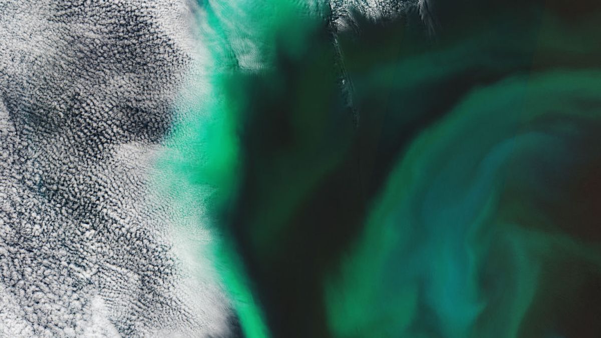 Esta imagen que parece una aurora boreal es en realidad el océano: ¿por qué tiene esos colores?