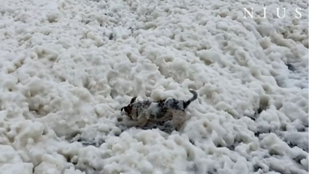 Espuma blanca en Reino Unido