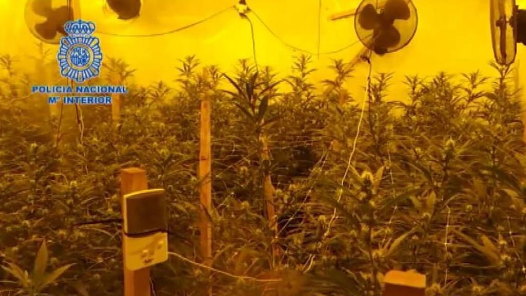 Detenido en Murcia el jefe de "Los anguilas", una banda que lleva 15 años traficando con droga en Europa