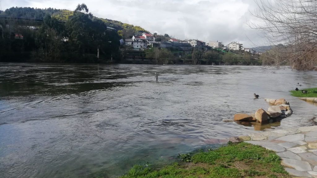 210209 CHAVASQUEIRA