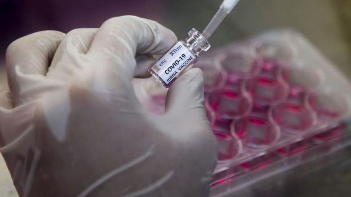 Última hora del coronavirus | La Agencia Europea del Medicamento  ya examina la vacuna alemana CureVac