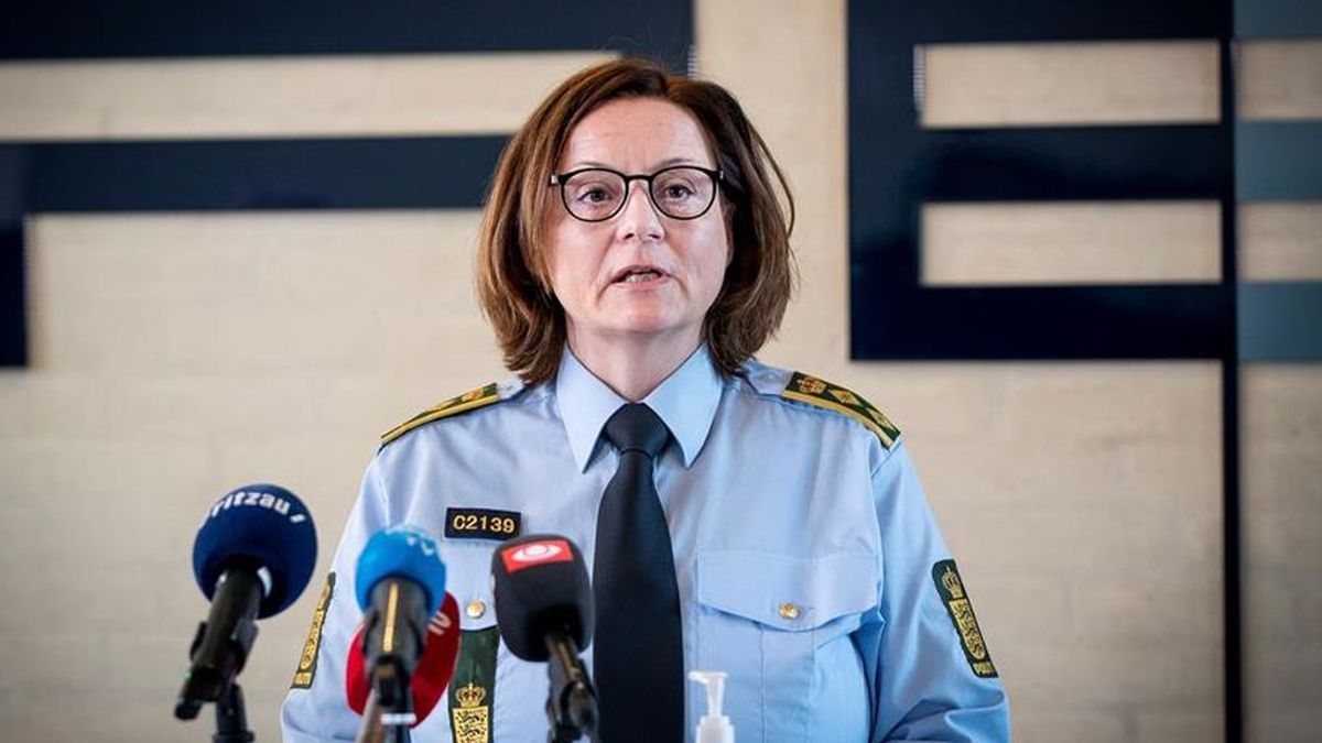 Más de una decena de detenidos por planear ataques terroristas en Dinamarca y Alemania Más de una decena de detenidos por planear ataques terroristas en Dinamarca y Alemania
