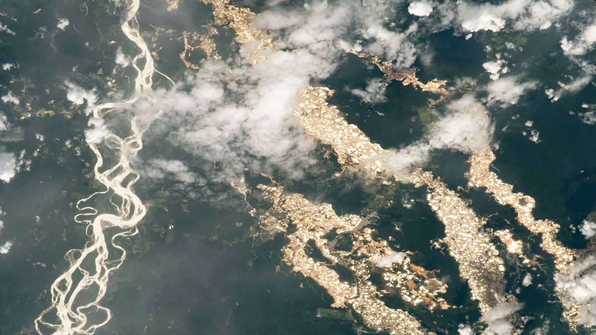 Los ríos de oro vistos en la Amazonia que destapan su gran problema