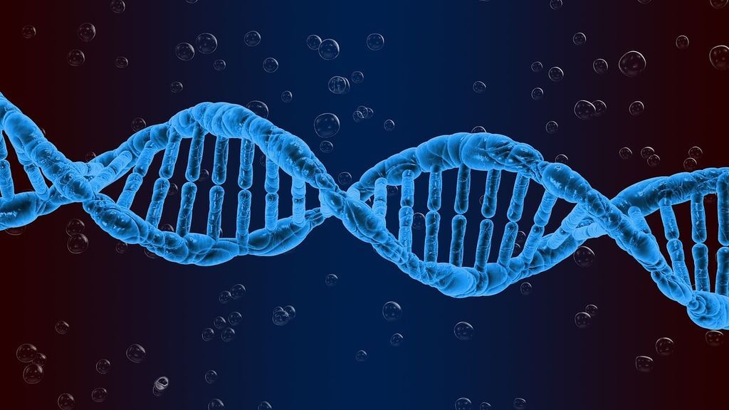 El cáncer de colón se cura en un 90% de los casos si se detecta a tiempo El cáncer de colón se cura en un 90% de los casos si se detecta a tiempo