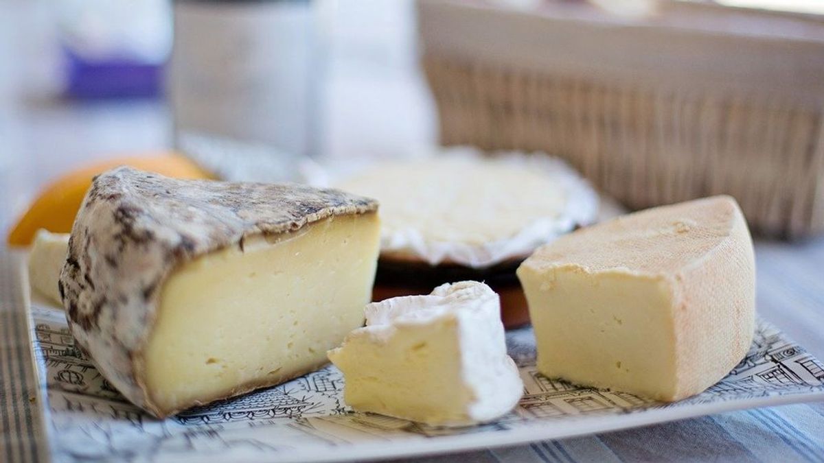 Cortar, oler y comer: guía práctica para aprender a catar quesos