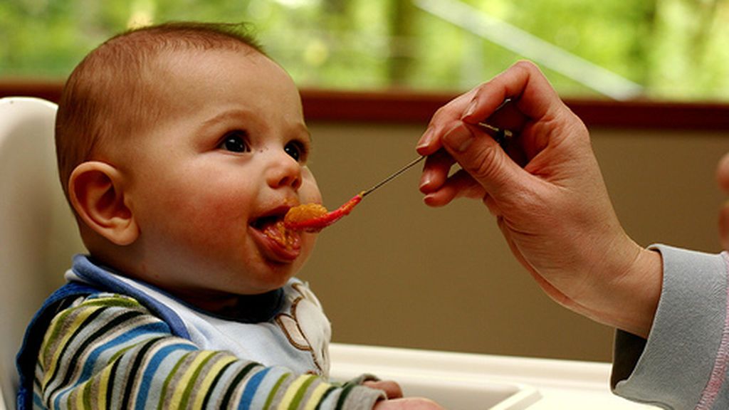 Aunque eso sí, habrá que evitar los frutos secos, a no ser que sean molidos o triturados y la miel.