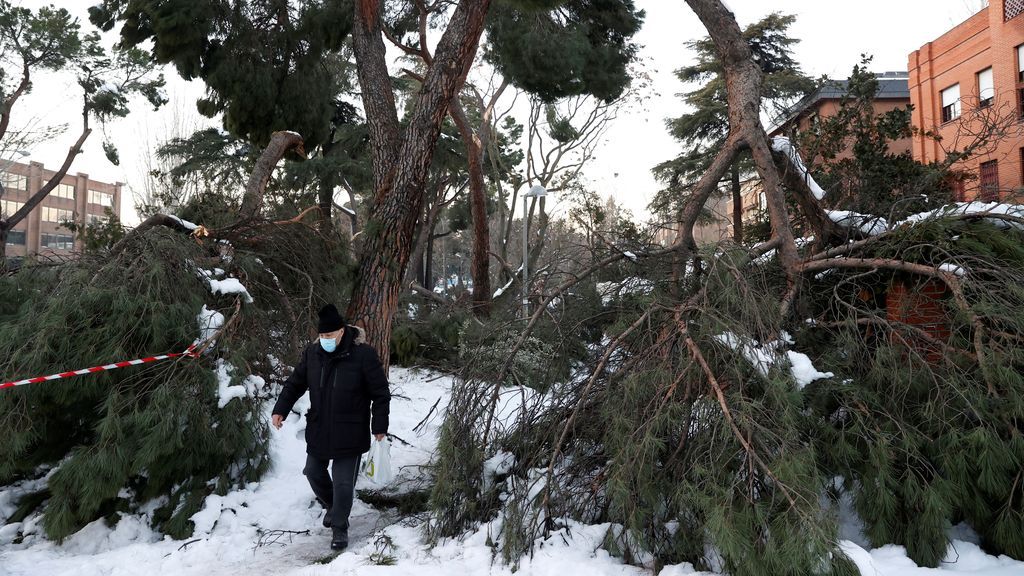 Filomena: de los riesgos de la nieve a los de los incendios Filomena: de los riesgos de la nieve a los de los incendios