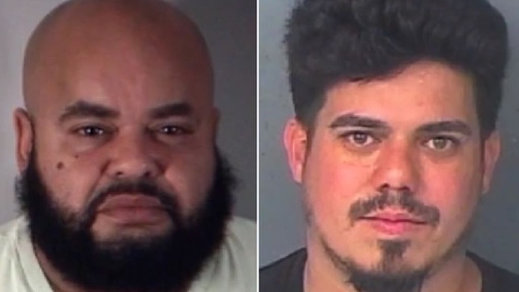 Dos detenidos por crueldad animal: realizaron una cesárea ilegal a una perra embarazada que finalmente murió