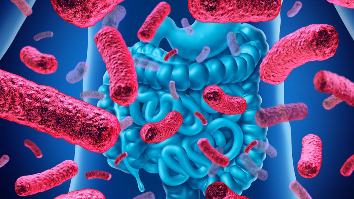 Un grupo de investigadores identifica más de 140.000 especies de virus en el intestino humano