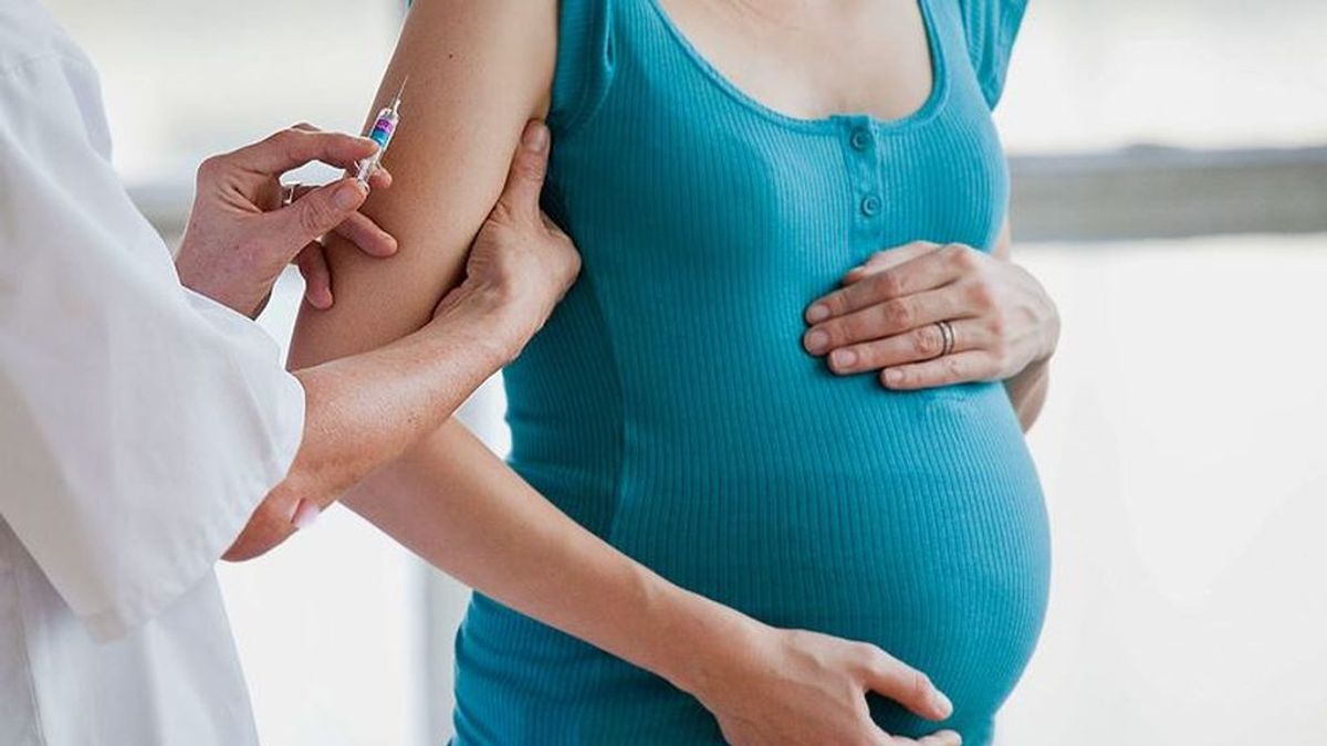 Pfizer y BioNTech investiga el efecto de su  vacuna contra el covid  en mujeres embarazadas