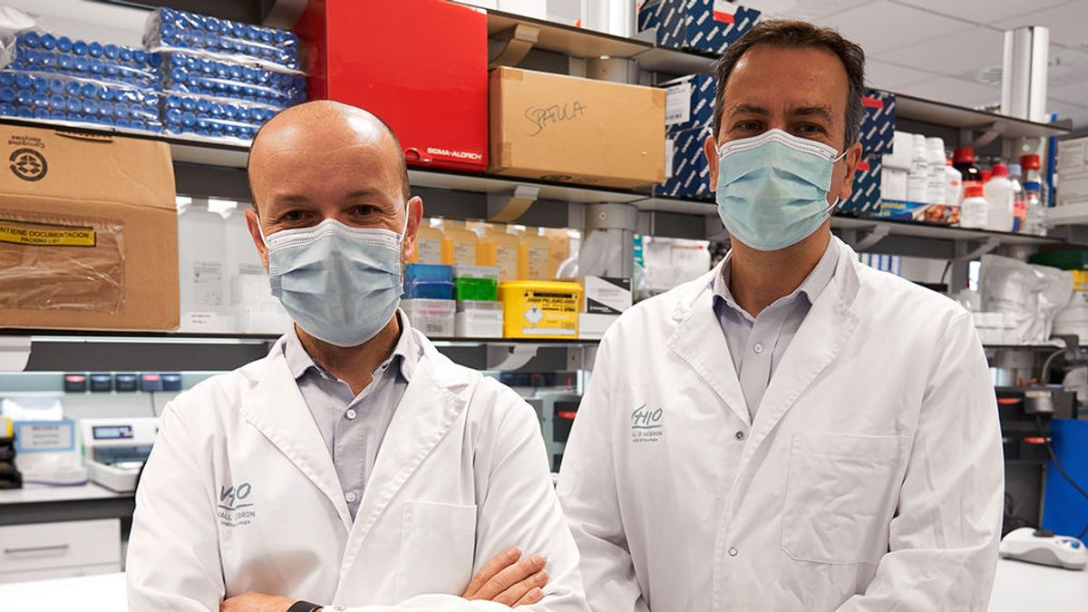 Paolo Nuciforo, investigador: “Las embarazadas deben estar tranquilas, la placenta hace de barrera frente al virus” Paolo Nuciforo, investigador: “Las embarazadas deben estar tranquilas, la placenta hace de barrera frente al virus”