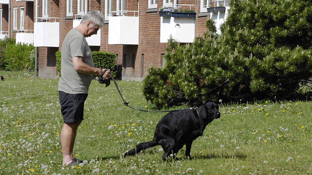 Abandonar los excrementos caninos en la calle sale casi gratis en España Abandonar los excrementos caninos en la calle sale casi gratis en España