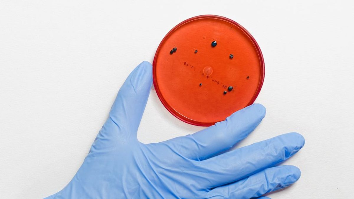 Sanidad vigila otras cuatro variantes del coronavirus que se han detectado Sanidad vigila otras cuatro variantes del coronavirus que se han detectado