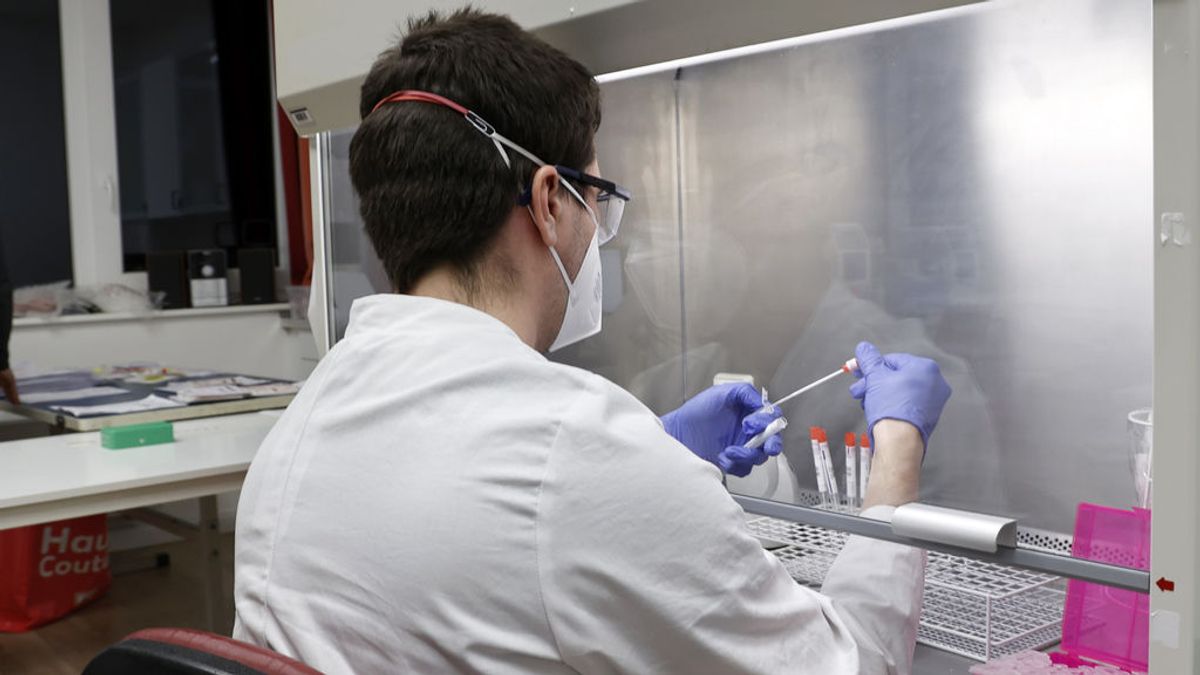 Las autopsias pueden explicar la 'niebla cerebral' de coronavirus