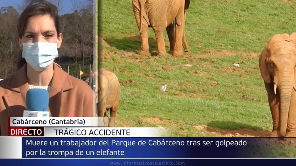 Muere un trabajador del Parque de Cabárceno (Cantabria) al ser golpeado por un elefante