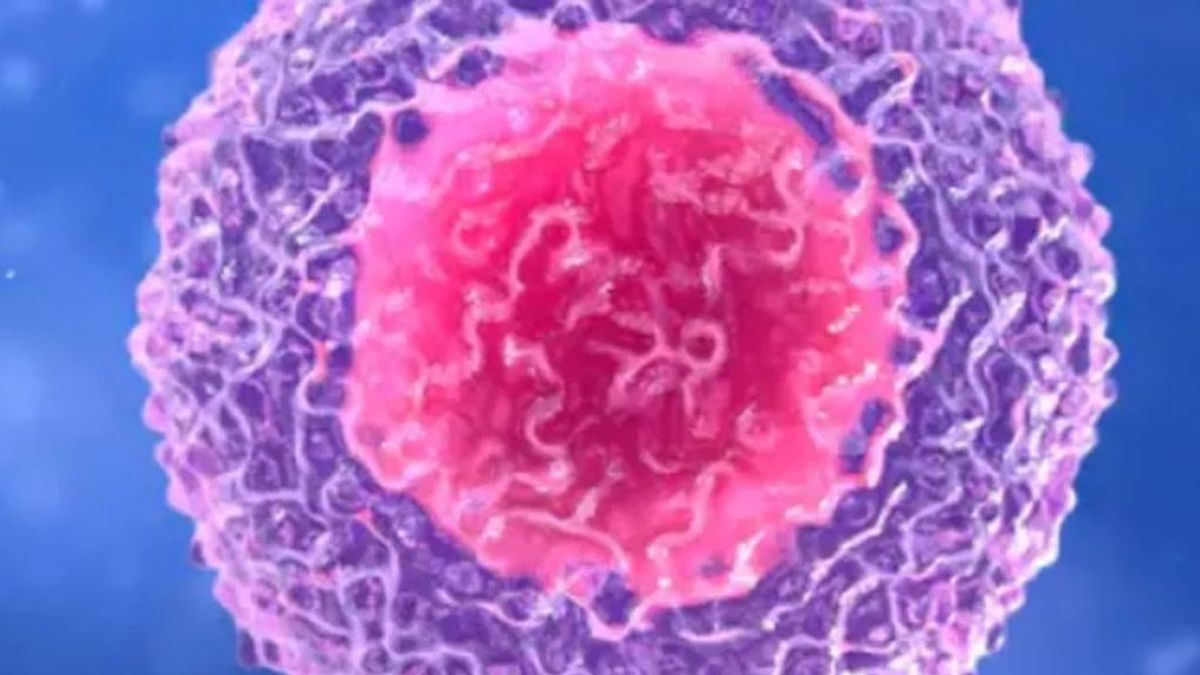 Las otra cara de las celulas T asesinas:  la hiperrespuesta inmunitaria provoca pacientes graves de covid