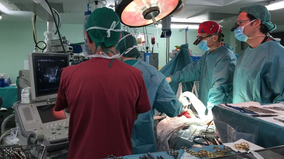España e Italia realizan el cuarto trasplante cruzado internacional a pesar de la tercera ola de la pandemia España e Italia realizan el cuarto trasplante cruzado internacional a pesar de la tercera ola de la pandemia