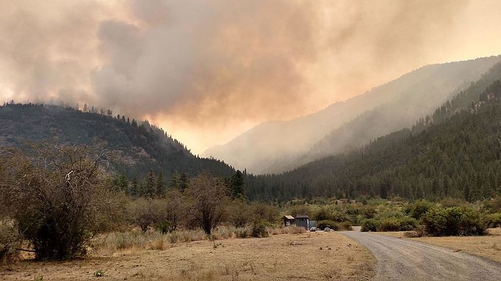 Okanogan_Complex_Fire_-_USFS