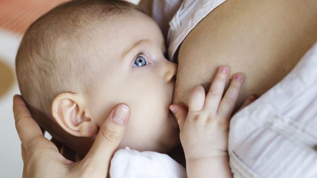 Los collares mordedores de lactancia harán que el bebé esté entretenido y aliviado.