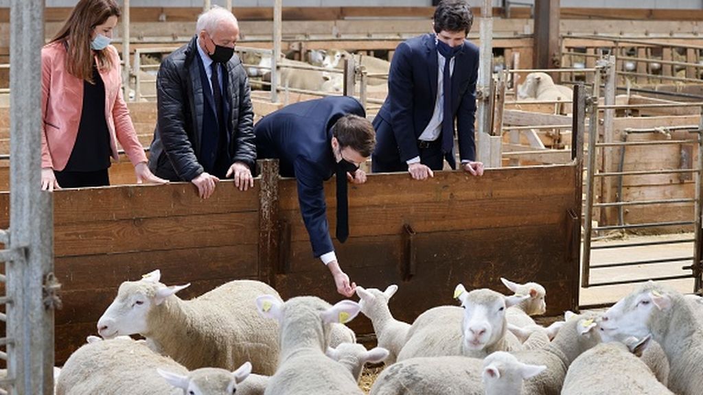 ¿Qué es el "islamoizquierdismo" que ha desatado la polémica en Francia? ¿Qué es el "islamoizquierdismo" que ha desatado la polémica en Francia?