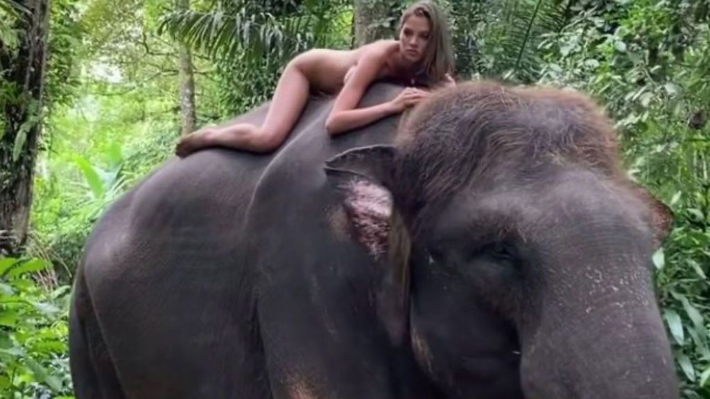 Desnuda sobre un elefante de Sumatra