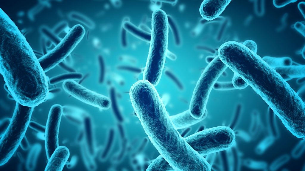 La peligrosidad de las bacterias multirresistentes