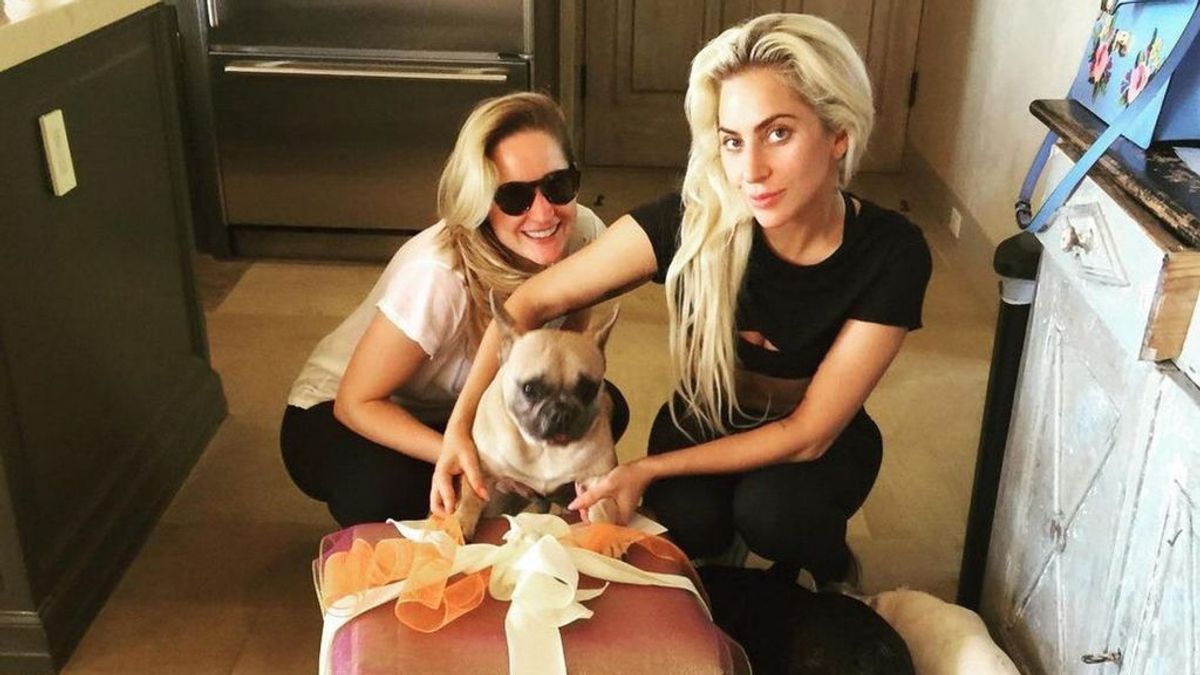 Se busca: Lady Gaga ofrece 500.000 dólares por encontrar a quién robo sus perros y tiroteó a su paseador Se busca: Lady Gaga ofrece 500.000 dólares por encontrar a quién robo sus perros y tiroteó a su paseador