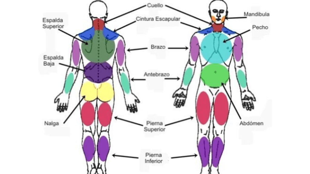 Cómo afecta la fibromialgia