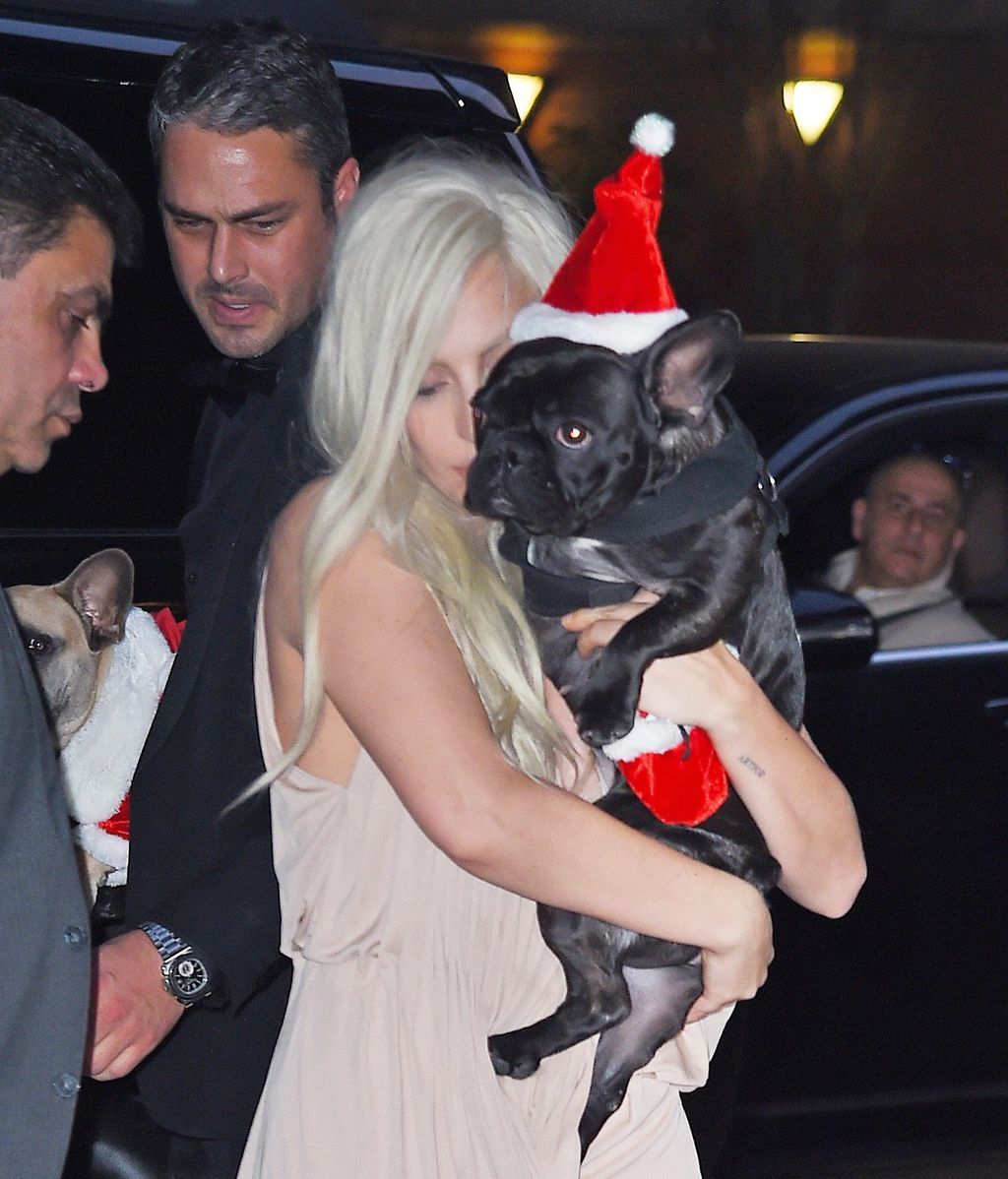 Lady Gaga perros