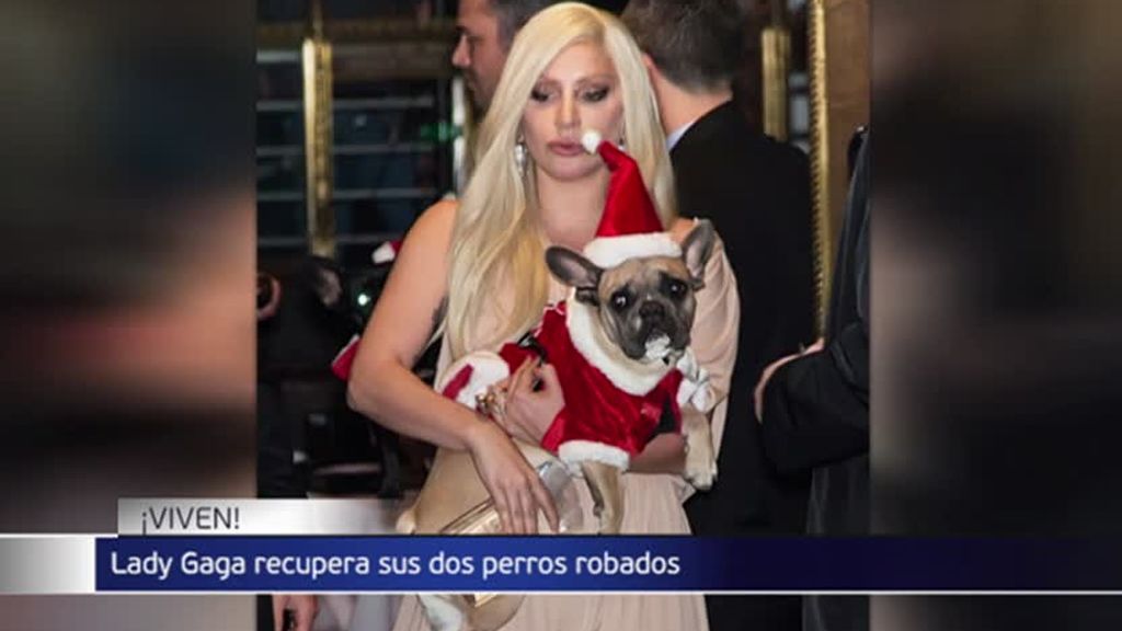 Lady Gaga recupera a sus dos perros