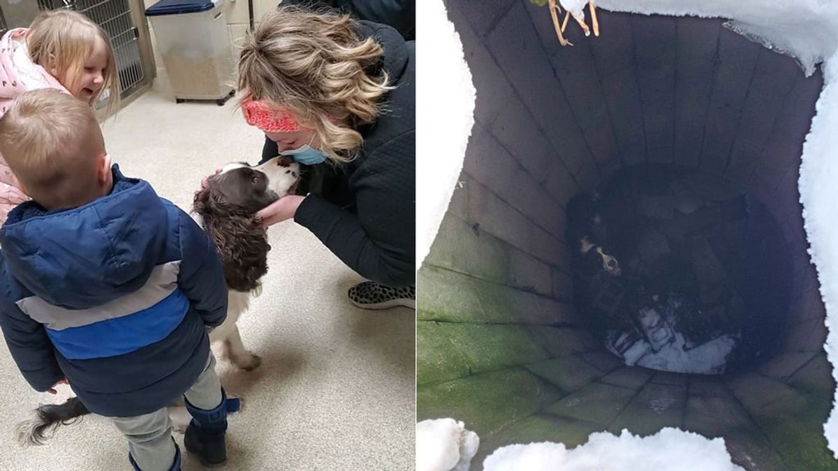Rescatan con vida a un perro de un pozo: sus dueños le buscaron durante 43 días