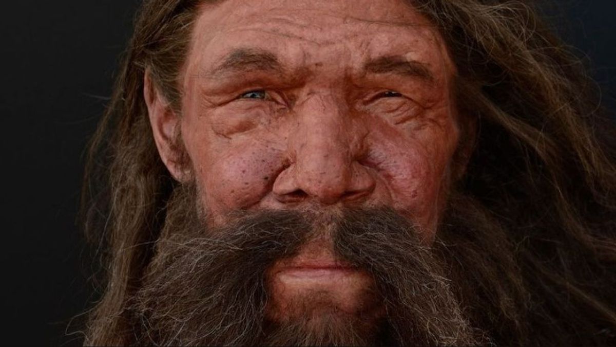 neandertal neandertal