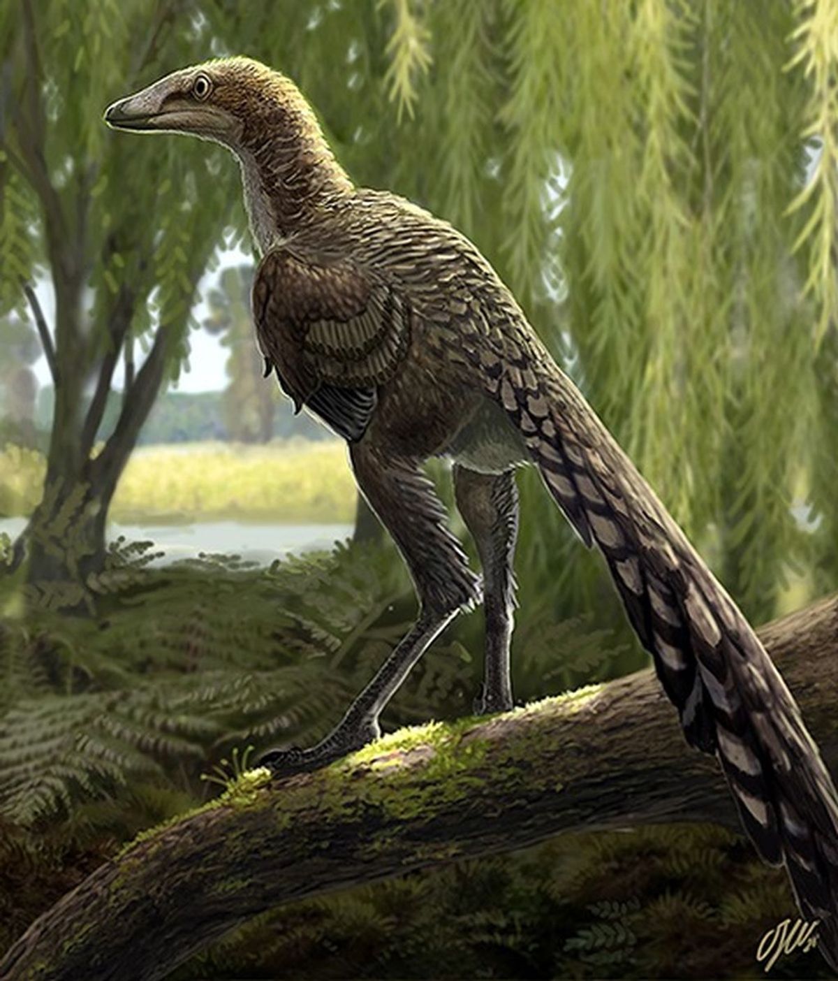 Troodóntido, el dinosaurio carnívoro que reinaba en los Pirineos - Telecinco